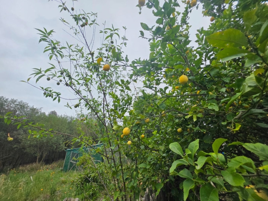 Commercial Property for Sale in Sedgefield Rural Western Cape